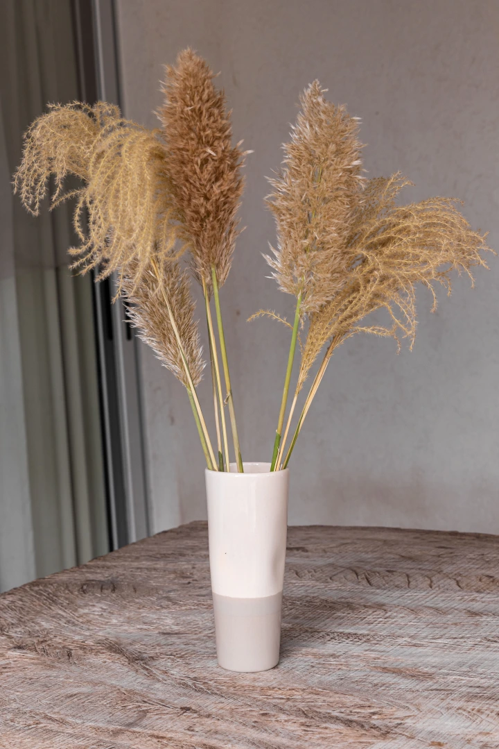 FLORERO PALAU