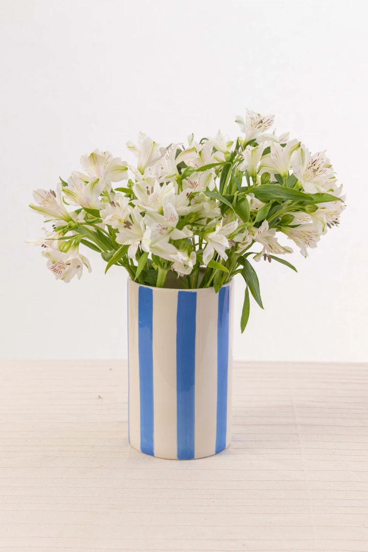 FLORERO CETARA